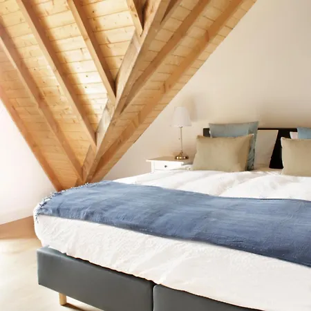 D'oude Dune Holiday home *